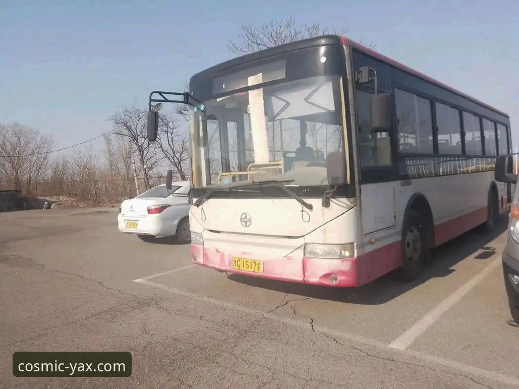 从迷茫到清晰：一位新手在亚星娱乐平台完成“亚星客车经销商查询”的实战经验