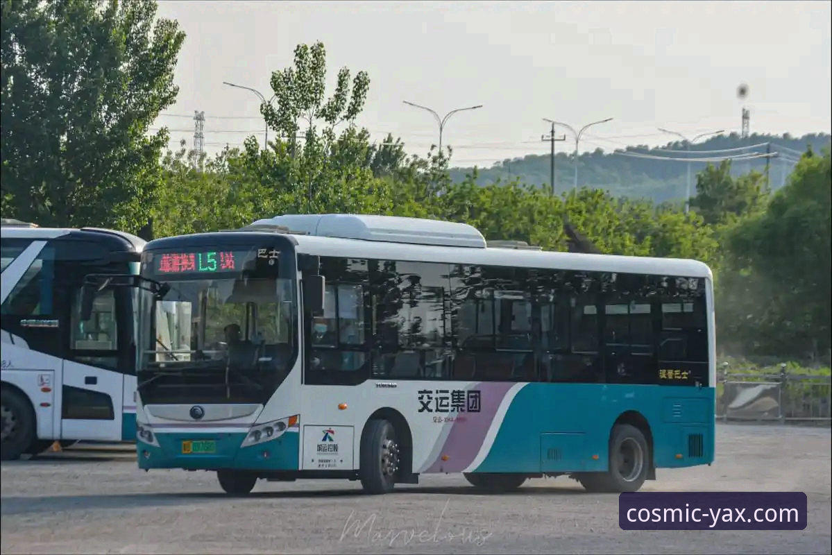 亚星旅游客车深度评测：从选车到性能对比的操作教程